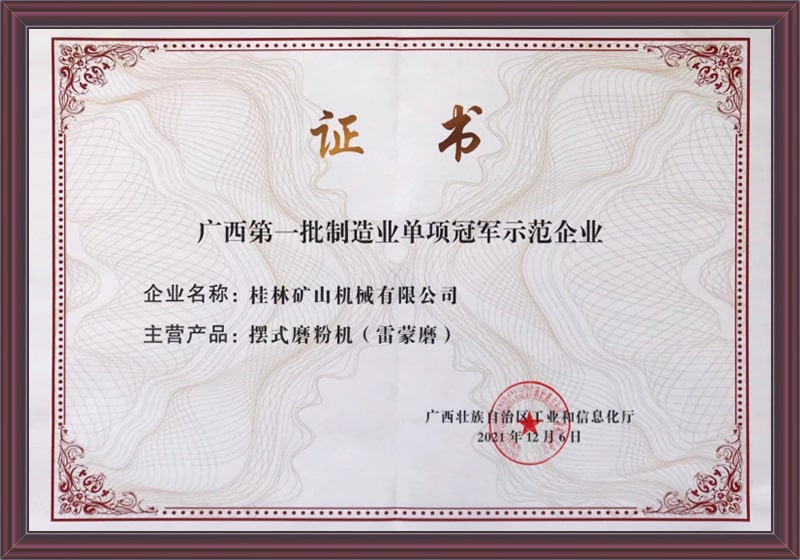 第(di)一批制造業單項(xiàng)冠軍示範企業